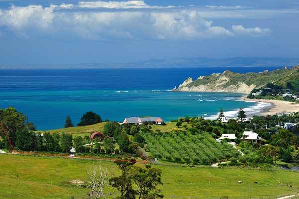 Winifred Street, Wainui